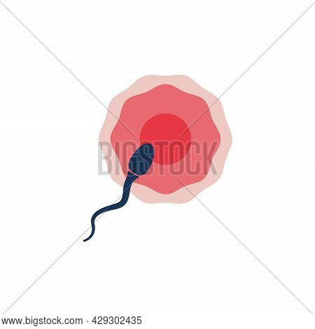Sperm And Egg Cell. Natural Fertilization, Semen, Ovulation. Insemination Concept. Can Be Used
For T