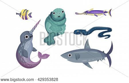 Marine Animals With Narwal And Seal Vector Set