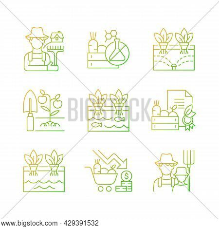 Farming Gradient Linear Vector Icons Set. Agricultural Business. Rural Area. Crop Quality Control. O
