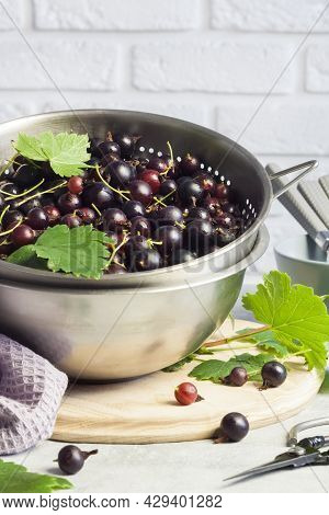 The Jostaberry (ribes X Nidigrolaria) Hybrid Of A Black Currant And Gooseberry In Metal Colander