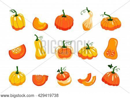 Autumn Pumpkins. Cartoon Cut In Half And Lobules Organic Farm Product With Seeds. Vector Pumpkins Is