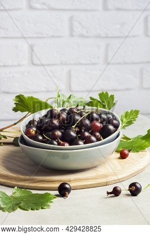 The Jostaberry (ribes X Nidigrolaria) Hybrid Of A Black Currant And Gooseberry In A Bowl