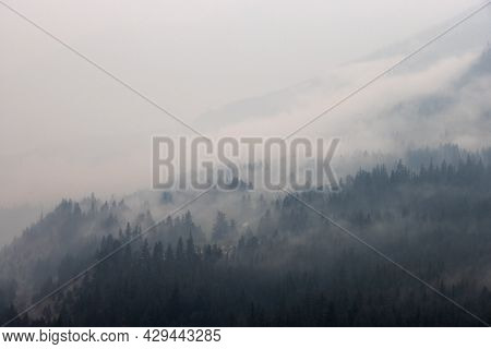 Trees On The Side Of A Mountain In A Valley Covered By Smoke From Forest Wildfire. Nature Disaster. 