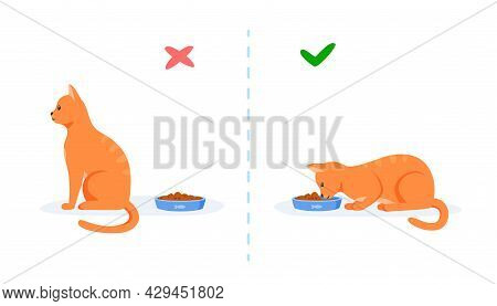 Cats With Good And Bad Appetite. Picky Cat Refusing To Eat And Hungry Cat Eating Food In Bowl. Feedi