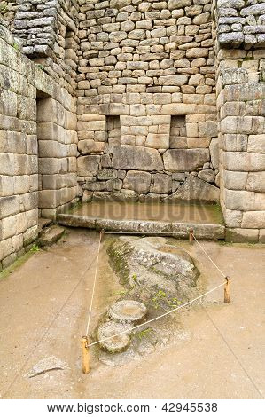 พันธุ์อินคาที่ซ่อนของ Machupicchu คูสโค เปรู