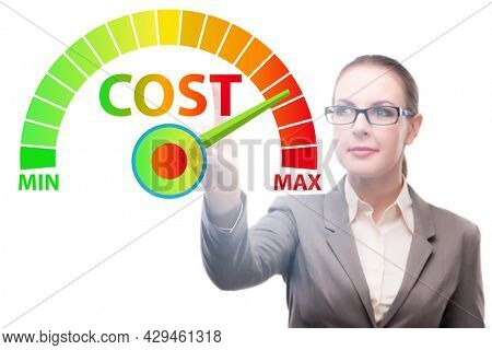 Businesswoman in cost management concept