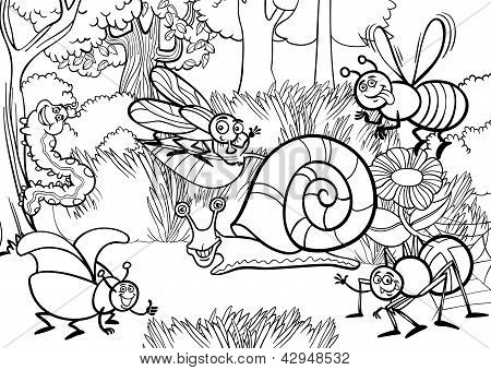 Cartoon insecten voor Coloring boek