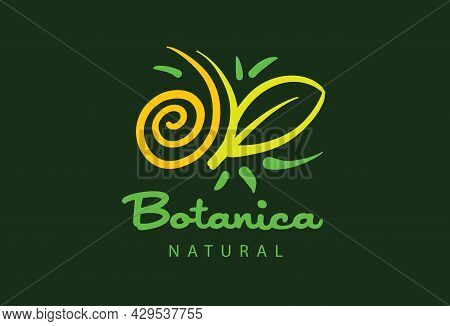 Logo With The Inscription Botanica And Painted Leaves