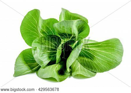 Isolated Pak Choy. Pak Choy On White Background.
