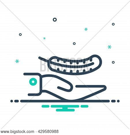 Mix Icon For Gently Feather Hand Quill Doggo Light Weight Bird Soft Feather-in-hand