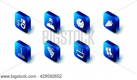 Set Graduate And Graduation Cap, Chestnut, Carrot, Socks, Bowl Of Hot Soup, Grape Fruit, Garden Rake
