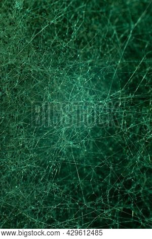 Turquoise Abstract Background Texture. A Closeup Of Mold, Crystals And Mold Filaments. Neurointerfac