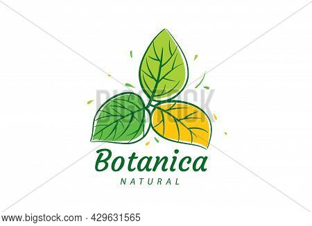 Logo With The Inscription Botanica And Painted Leaves