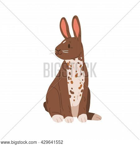 Cute Rabbit Of English Spot Breed. Spotty Bunny Sitting. Portrait Of Happy Animal With Ears. Realist