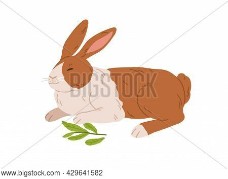 Cute Happy Rabbit. Small Spotty Bunny Breed Lying. Domestic Animal With Spots On Fur. Adorable Coney