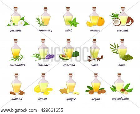 Cosmetic Essential Oil Bottle With Herb, Fruit And Flower. Lavender, Argan, Coconut And Almond Nut O