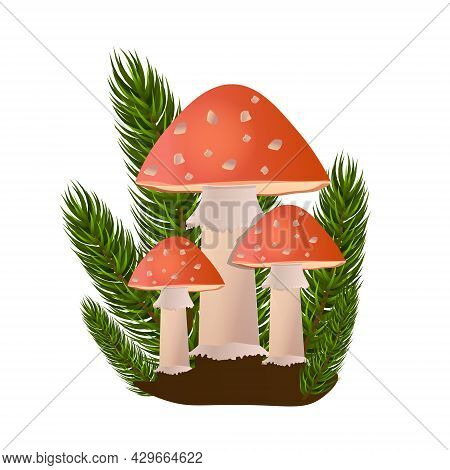 Red Amanita Mushrooms In Forest On White Background. Concept Of Dangerous Poisonous Mushrooms Bright
