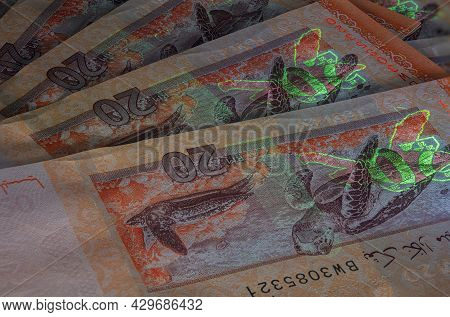 Macro Photography Of 20 Malaysian Ringgit With Fluor Light. Extreme Close-up Of Rm20 Malaysia. Sharp