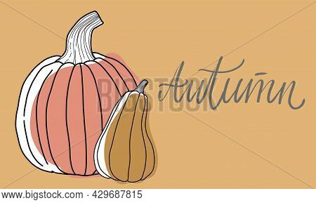 Illustration Two Pumpkins Of Different Shapes In The Linart Style On An Ochre Background, Autumn Sty