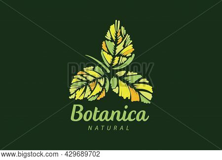 Logo With The Inscription Botanica And Painted Leaves