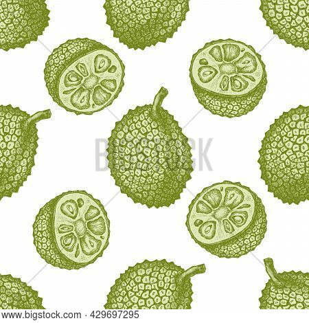 Seamless Pattern With Hand Drawn Pastel Jackfruit Stock Illustration