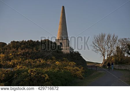Beautiful Closeup Evening View Of Killiney Obelisk And Wild Yellow Gorse (ulex) Flowers Growing Ever