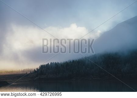 Atmospheric Landscape With Coniferous Trees In Hoarfrost On Hillside In Shadow In Thick Low Clouds N