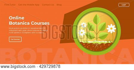 Online Botanica Courses And Lessons At Website