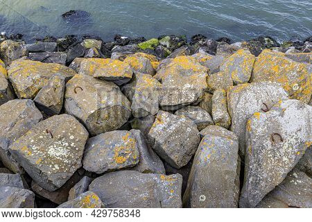 Moss Covered Stones On A Breakwater Along The Delta Works. Rhine-meuse-scheldt Delta, Sunny Day In S