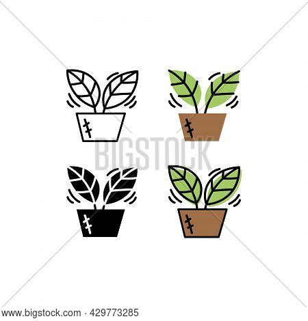Plant In The Pot. Icons Set. Colorful And Black And White Concept. Green Tea. Nature, Garden, Korean