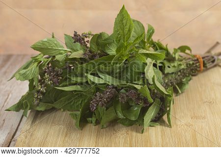 Thai Basil Or Locally Known As Daun Selasih Normally Used In Asian Cooking. Selective Focus Points. 