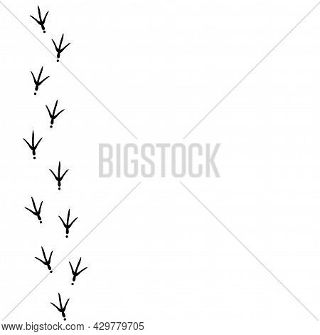 Vector Background With Bird Trail On The Left Side. Black Bird Footprints Track On White Background.
