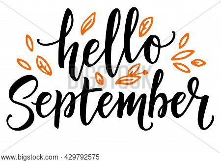 Hello September Calligraphy. Hello Autumn Greeting Card. Hand-drawn Illustration. Modern Vector Call