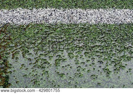 The Artificial Grass Football Field Inundates With Water