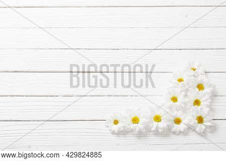 The White Chrysanthemum On White Wooden Background
