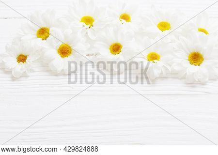 The White Chrysanthemum On White Wooden Background