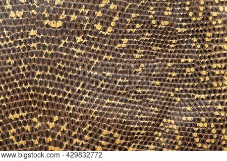 Snakeskin Leather And Texture Background. Skin Pattern Background. Top View.