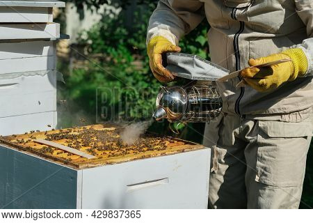The Beekeeper Treats The Bees Of The Varroa Mite. Diseases Of Bees And Their Treatment. Varroasis. V