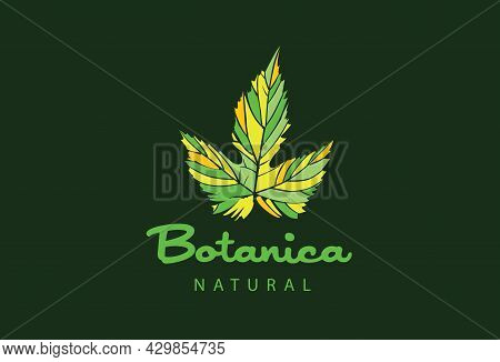 Logo With The Inscription Botanica And Painted Leaves