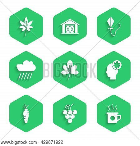 Set Leaf Or Leaves, Grape Fruit, Cup Of Tea, Human Head With Leaf, Carrot, Cloud Rain, Kite And Icon