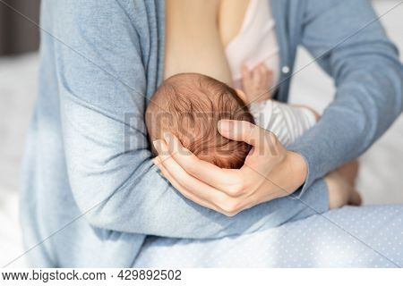 Lactation Concept. Closeup Shot Of Unrecognizable Woman Breastfeeding Newborn Baby At Home