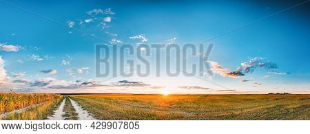 Sunset, Sunrise Over Rural Meadow Field And Country Open Road. Countryside Landscape With Path Way U