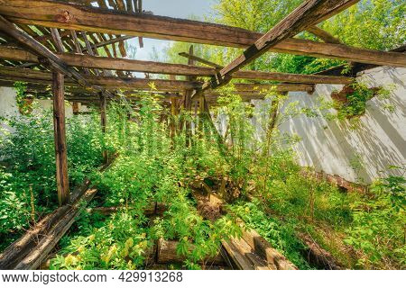 Consequences Of The Nuclear Ontamination In Evacuated Rural Area After Chernobyl Disaster. The Overg