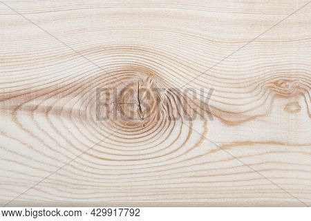 Background Texture. Surface Of A Larch Edged Board With Knot On Cut. Wood Texture. Top View, Copy Sp