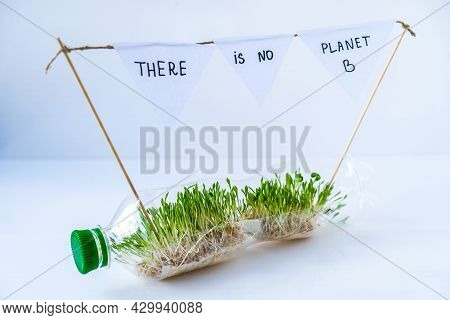 There Is No Planet B Young Green Plants In Plastic Bottle. Ecology And Environmental Conversation. E