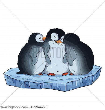 Cartoon Illustration Of A Cute Three Baby Penguins On Ice Floe. Vector Stock Comic Style Image