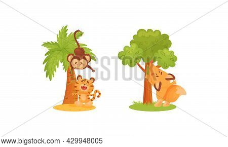 Adorable Animals Measuring Height Set. Cute Tiger, Monkey, Fox Animals Comparing Height Cartoon Vect