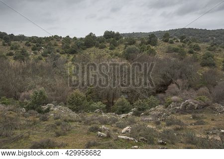 Views Of The Manzanares River Along Its Course Through The Municipality Of Colmenar Viejo, In The Pr