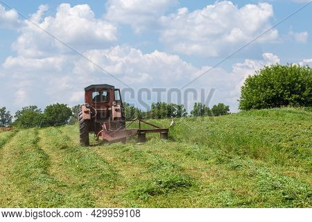 Windrows Of Freshly Mown Hay With A Mowing Machine Mounted On Small Old Tractor On A Field At Summer