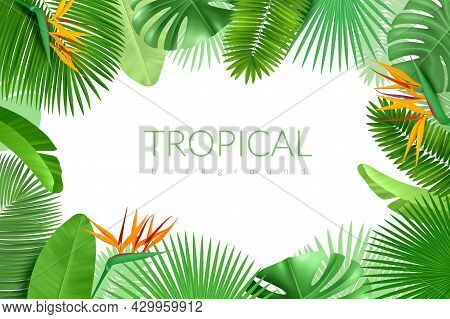 Tropical Leaves Frame. Realistic Summer Exotic Plants, Hawaiian Palm Background, Monstera, Banana An